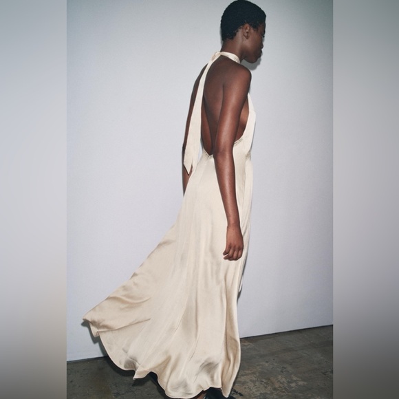 🆕(NWT) ZARA **VIRAL** Embroidered & Sequin Satin Midi/Maxi Dress. Size MEDIUM - Picture 16 of 16